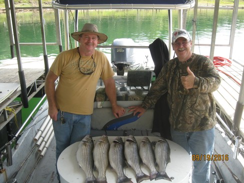 Nice Striped Bass